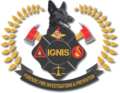 IGNIS Forensic Fire Investigations and Prevention